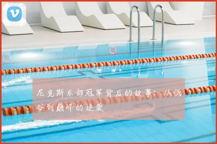 尼克斯东部冠军背后的故事：从低谷到巅峰的逆袭